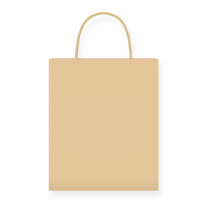 Recycled Paper Bag (Testing by D.G)